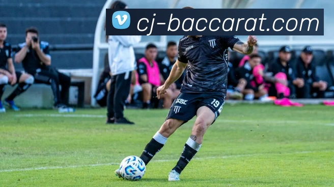 百家乐官网平台生态图